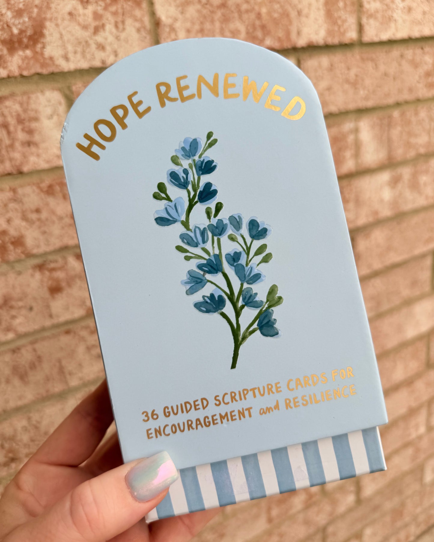 Hope Renewed | Scripture Cards